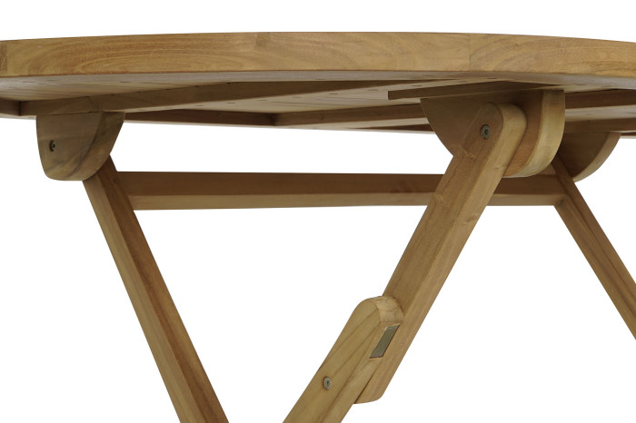 TECAMARRON2 TECAMARRON2